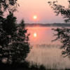 gailyoung116